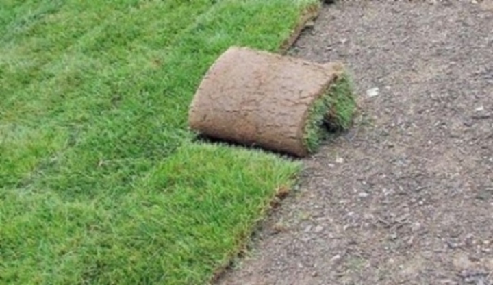 Srolovaný travnatý koberec 