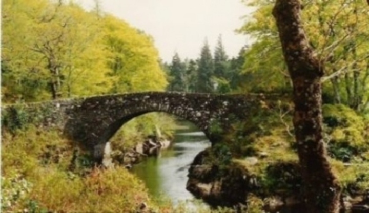 Most nad řekou v přírodě 