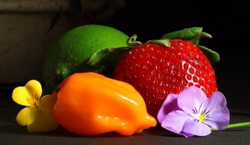 Zelenina s jahodou a květinkami 