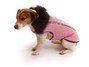 Pes v růžovém oblečku s kožíškem