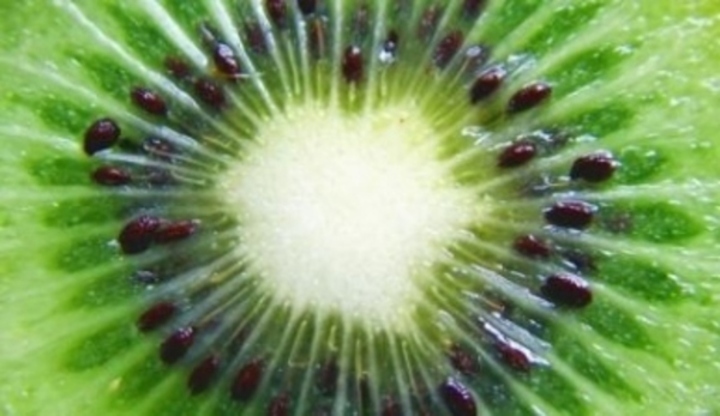 Detail rozkrojeného kiwi