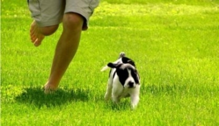 Pes běží vedle nohou svého pána