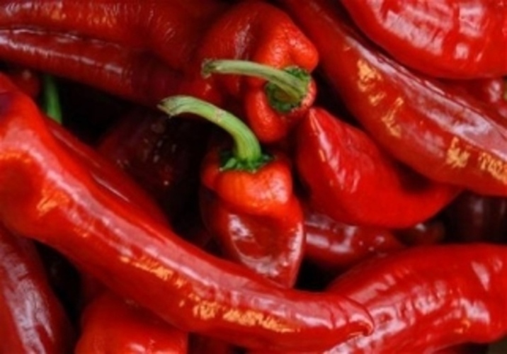 Červené chilli papričky