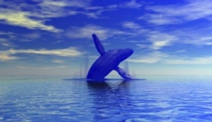 Velryba vyskakující z vody 