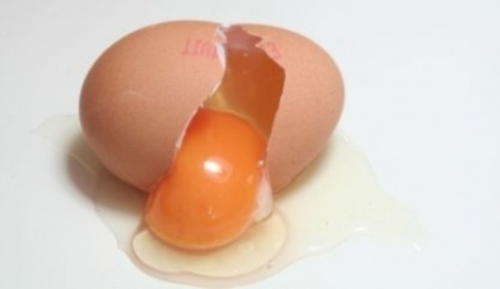 Prasklá skořápka s vytékajícím vejcem 