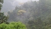 Kostarika deštný prales