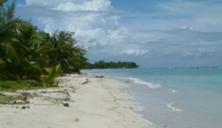 Nádherná pláž s palmami a průzračným mořem