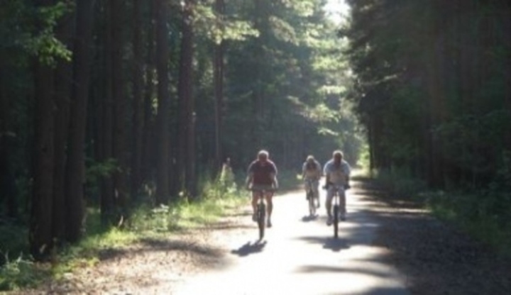Lidé jedoucí na kole cestou mezi vysokými stromy