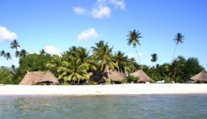 Obyvatelný ostrov s palmami 
