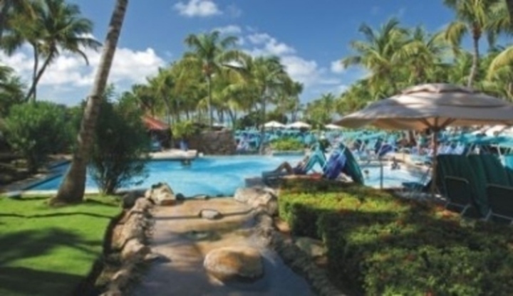 Bazén v exotickém místě s vysokými palmami 