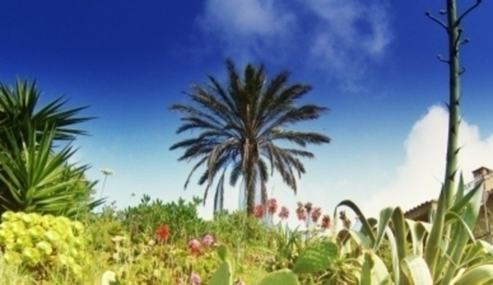 Palmy a květiny na ostrově Korsika