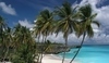 Pláž s palmami na Barbadosu