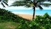 Pláž s palmami v Portoriku