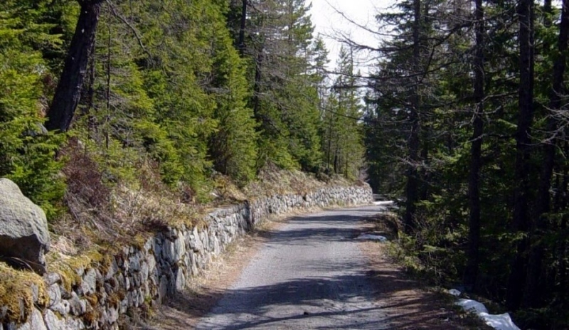 Cesta mezi slovenskými lesy 