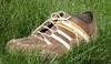 Hnědá bota v trávě 