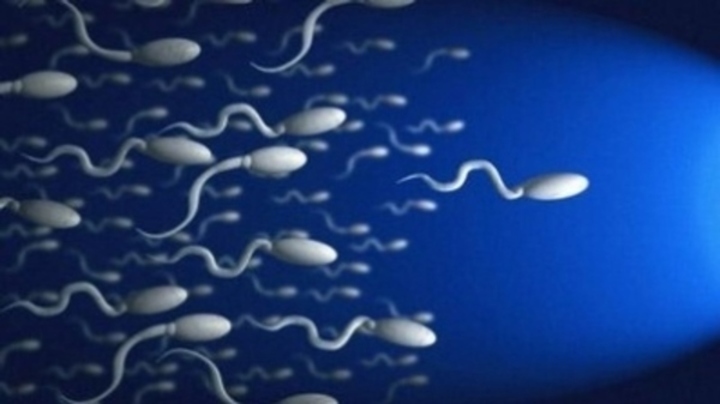Plavající spermie