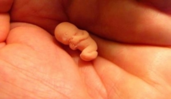 Malinké tělíčko miminka v dlani 