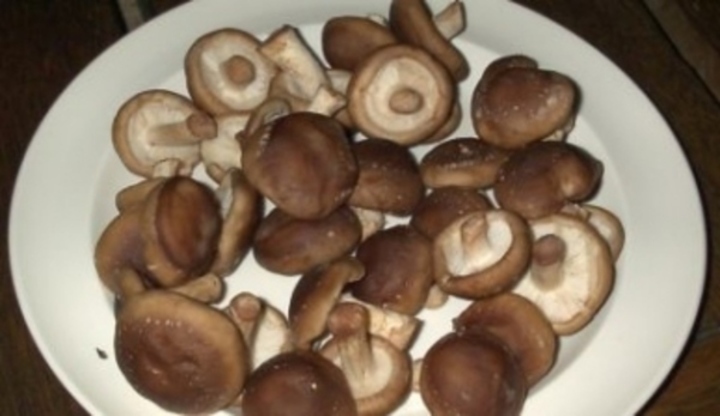 Nakrájené houby na talíři 