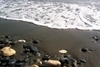 Kameny v písku u moře 