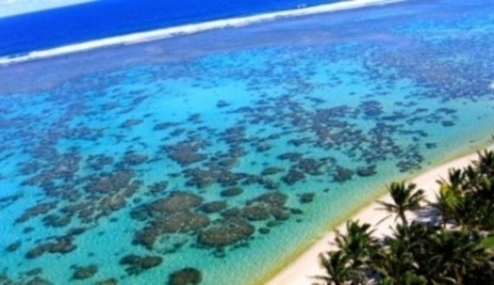 Korálový útes v průzračném moři 