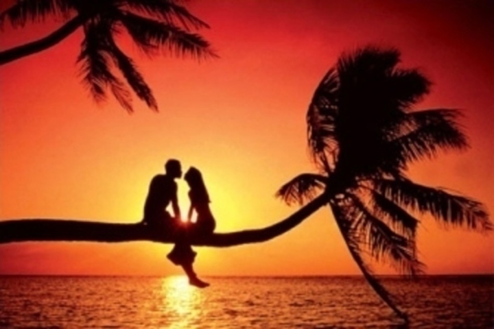 Zamilovaný pár při západu slunce sedící na kmeni  stromu