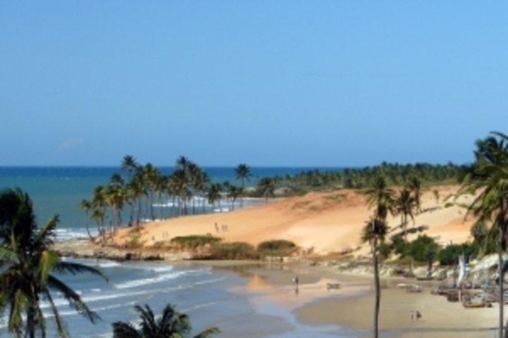 Písečná pláž s palmami