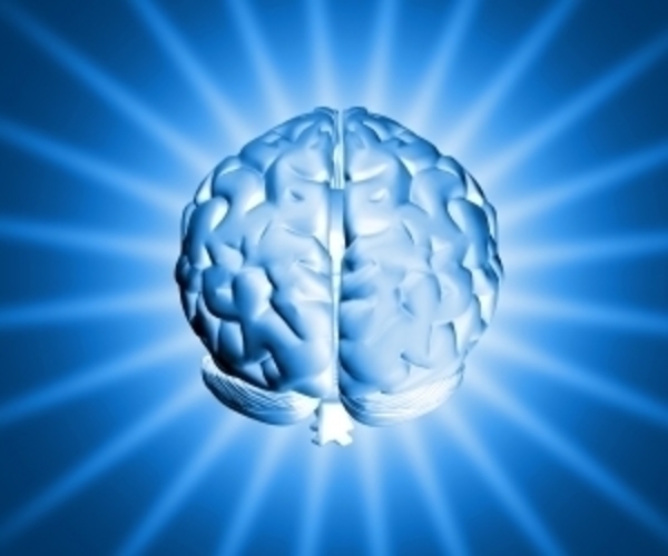 Lidský mozek